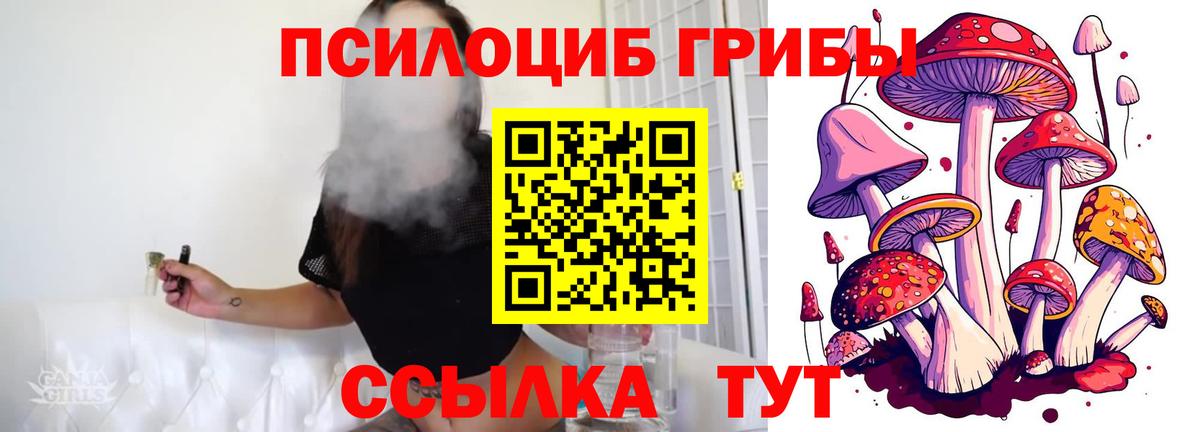 Клинцы  Псилоцибиновые грибы мухоморы  Галлюциногенные грибы мицелий  Вход с VPN 