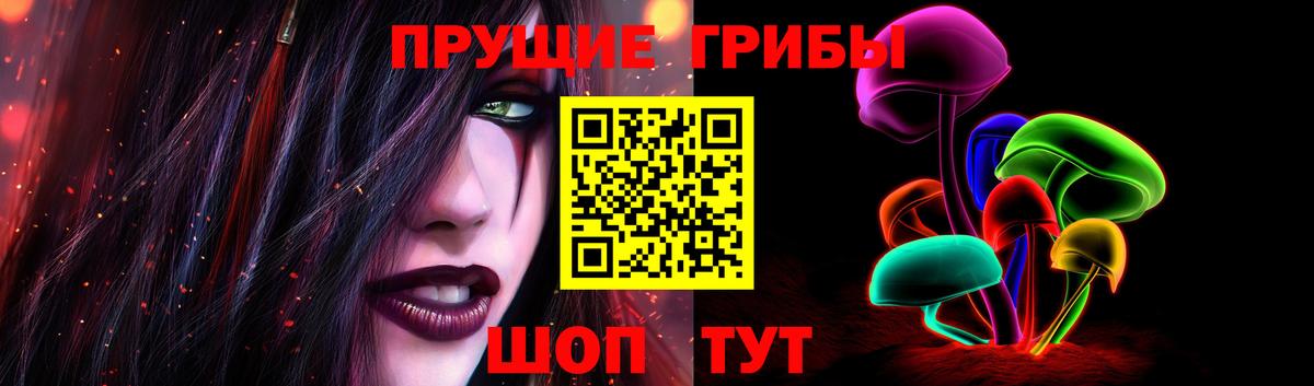 Галлюциногенные грибы Cubensis Клинцы